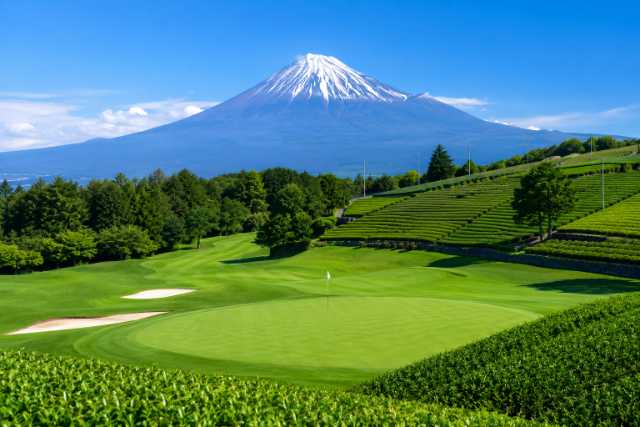 fuji-teafield-golf