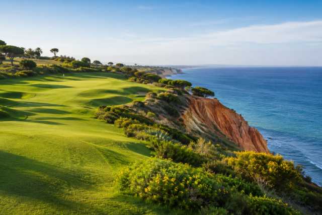 golden-bluff-golf