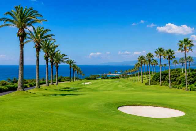 palm-ocean-golf