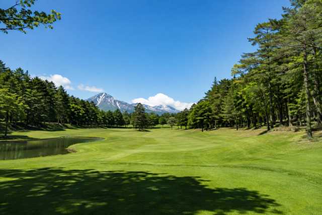 pine-lakeside-golf