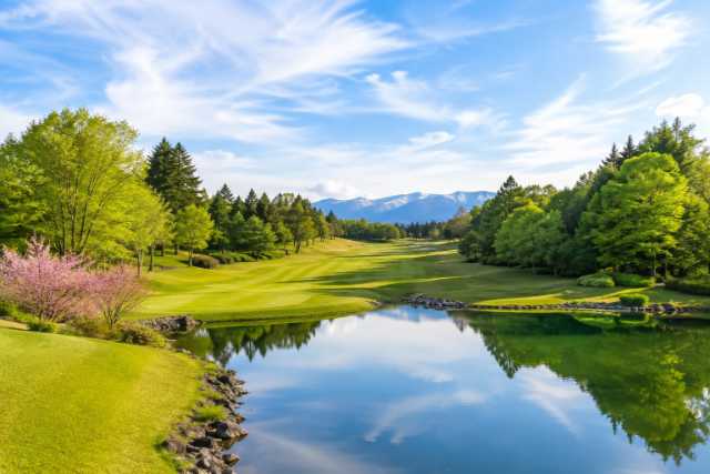 spring-reflection-golf